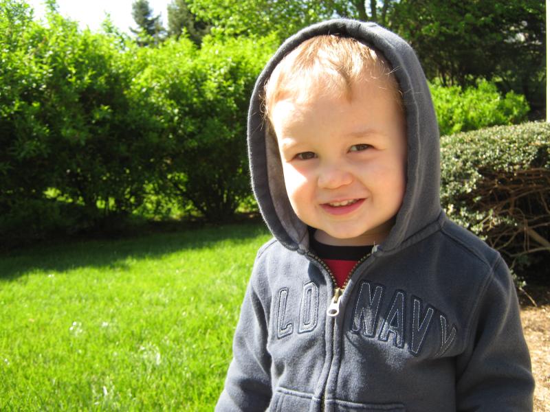 Cutie In A Hoodie
