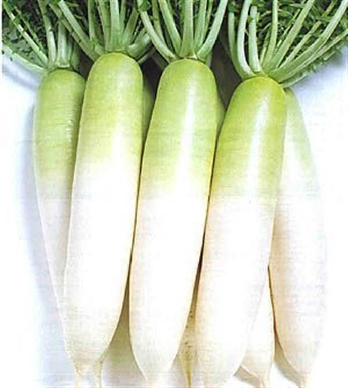 Daikon