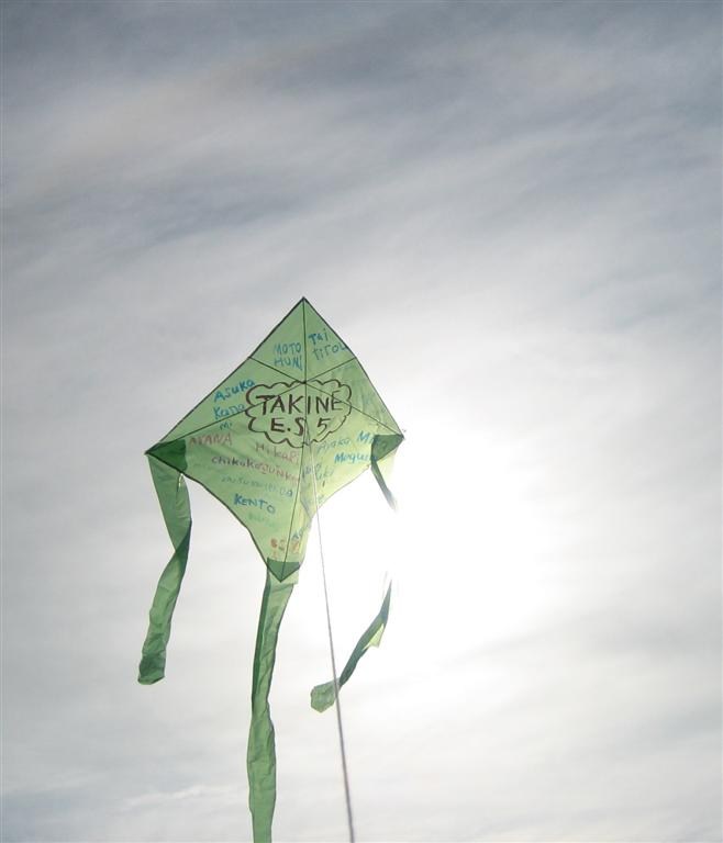 Takine Elementary School Kite