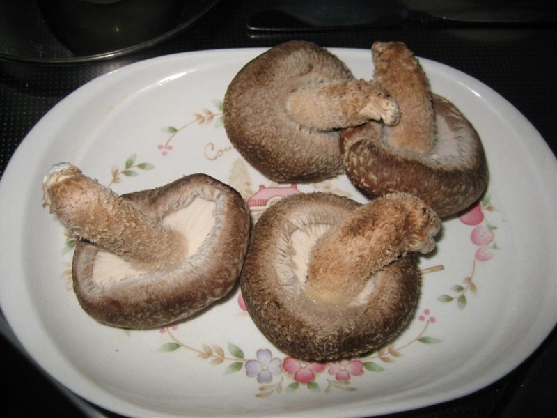 Furry mushrooms