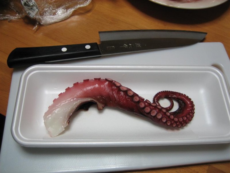 Octopus tentacle