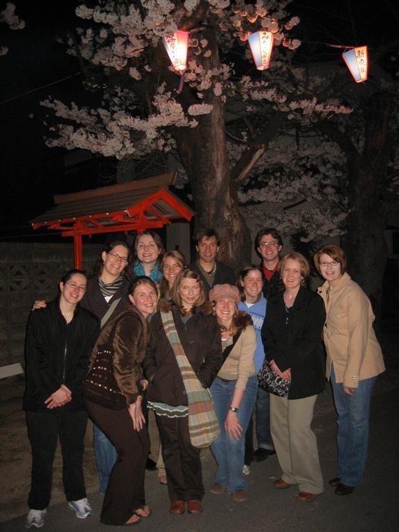 Wakakusa Team Night Cherry Blossom Viewing