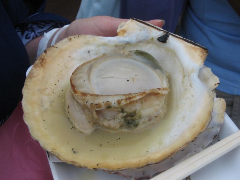 Fresh scallop on the half shell