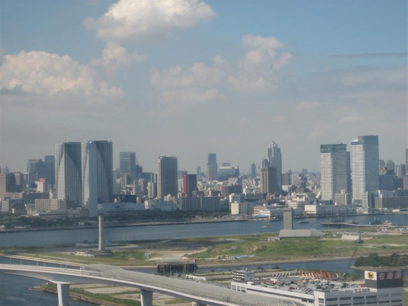 Tokyo from above